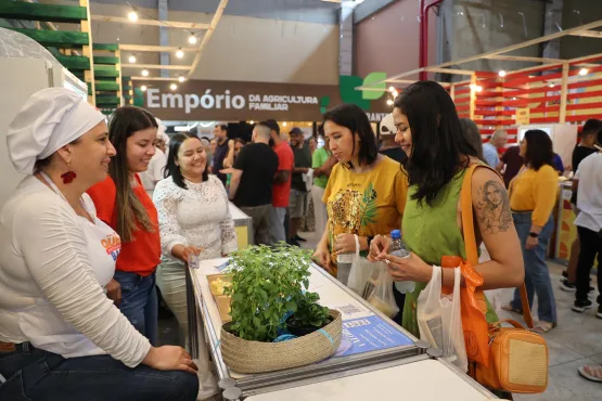 Festival do Queijo Artesanal da Bahia une música, tradição, inovação e gastronomia em Salvador