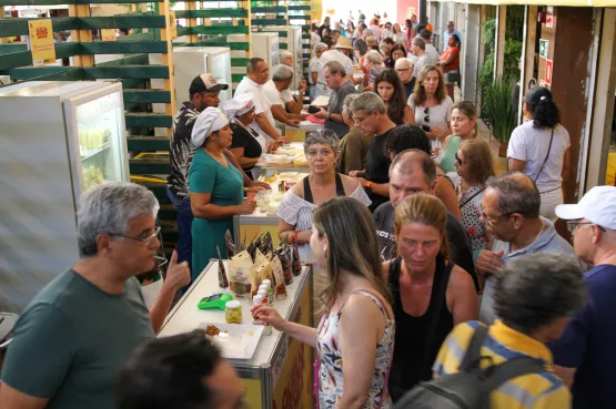 Festival do Queijo Artesanal da Bahia chega ao último dia com recorde de público e vendas