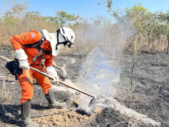 Operação Florestal do Corpo de Bombeiros debela cerca de 960 incêndios no estado