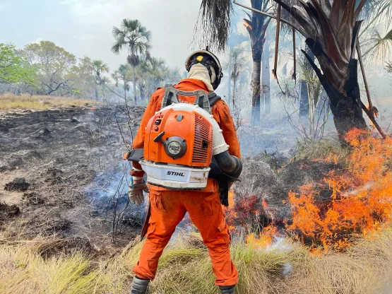 Operação Florestal do Corpo de Bombeiros debela cerca de 960 incêndios no estado