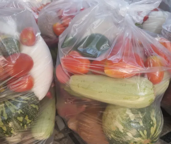 Prefeitura de Mucuri inicia novo ciclo do Programa de Aquisição de Alimentos