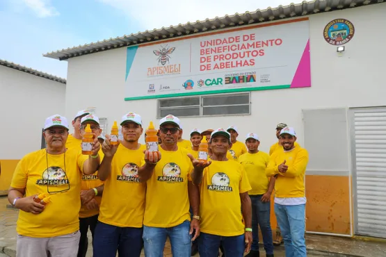 Nova unidade de beneficiamento de mel fortalece renda de apicultores em Itiúba