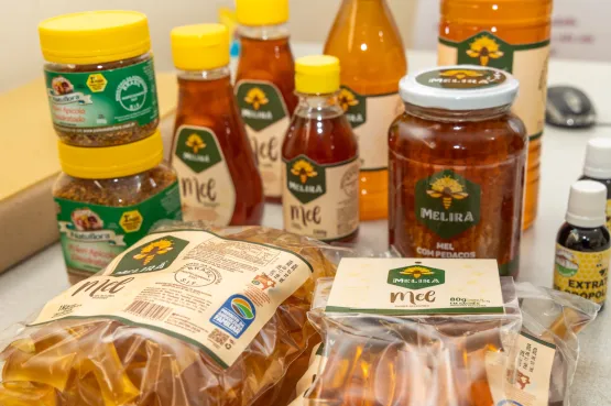 Mel da agricultura familiar conquista paladares e fortalece comunidades rurais da Bahia
