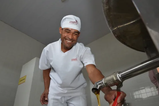 Mel da agricultura familiar conquista paladares e fortalece comunidades rurais da Bahia