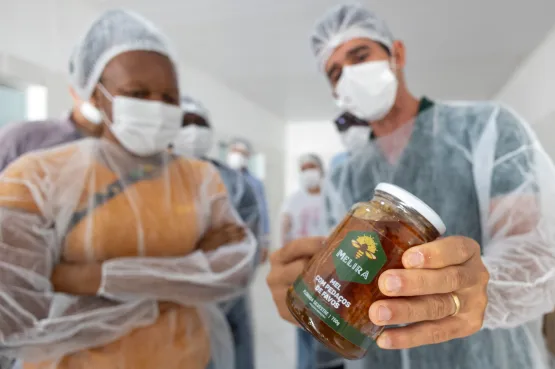 Mel da agricultura familiar conquista paladares e fortalece comunidades rurais da Bahia