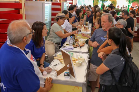 Salvador recebe em outubro a 2ª edição do Festival do Queijo Artesanal da Bahia