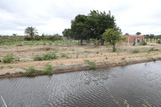 Governo da Bahia entrega 120 hectares irrigados a famílias assentadas em Ponto Novo