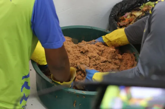 Tecnologia baiana revoluciona compostagem e reduz emissões de carbono