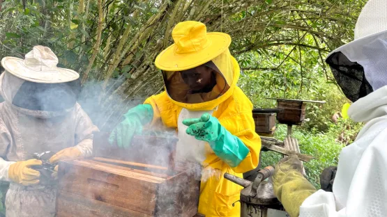 Governo da Bahia fortalece a apicultura no Recôncavo com entrega de 220 kits