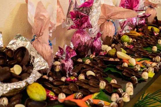 Porto Seguro Resort traz programação exclusiva de Páscoa Porto Seguro Resort traz programação exclusiva de Páscoa