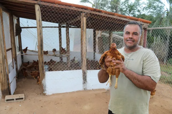 Governo da Bahia entrega 40 galinheiros e fortalece produção de ovos caipiras em Macajuba